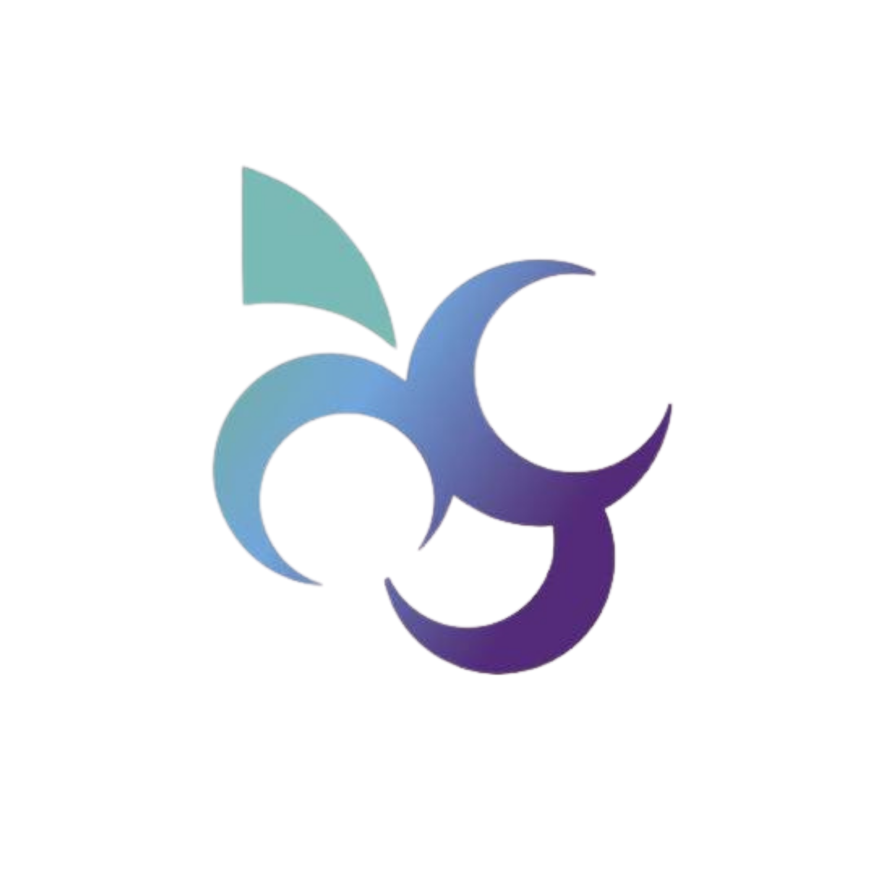 Logo Igreja Videira Ipaussu